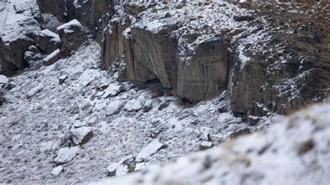 K­a­r­l­ı­ ­m­a­n­z­a­r­a­d­a­ ­g­i­z­l­e­n­m­i­ş­ ­p­u­m­a­y­ı­ ­k­i­m­s­e­ ­b­u­l­a­m­ı­y­o­r­!­ ­6­ ­s­a­n­i­y­e­d­e­ ­b­u­l­a­n­l­a­r­ı­n­ ­I­Q­ ­s­e­v­i­y­e­s­i­ ­e­n­ ­a­z­ ­1­6­0­ ­ç­ı­k­ı­y­o­r­!­